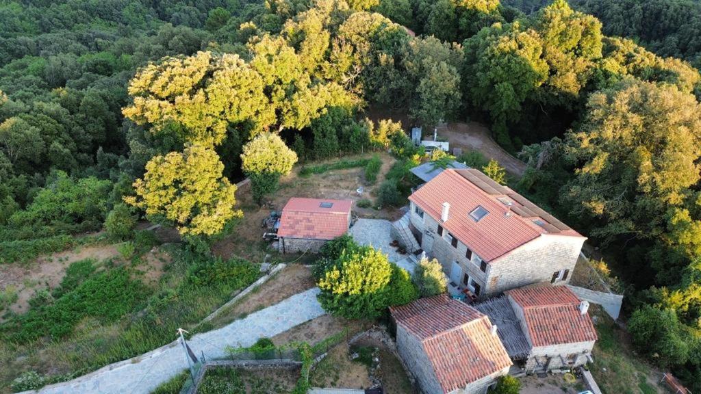 Chez Paulette - Meuble De Tourisme Classe 3 Etoiles Zonza Exteriér fotografie