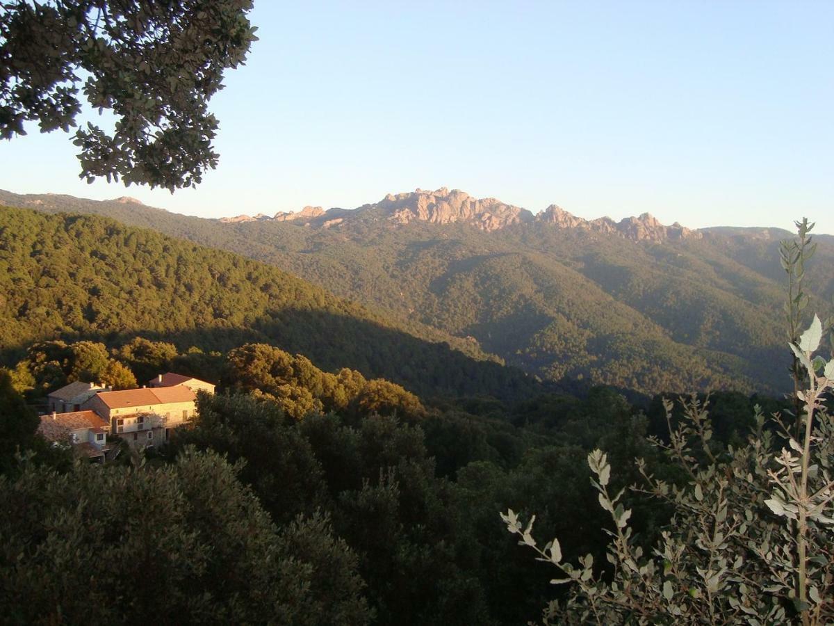 Chez Paulette - Meuble De Tourisme Classe 3 Etoiles Zonza Exteriér fotografie